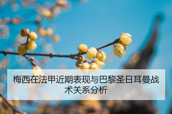 mei-xi-zai-fa-jia-jin-qi-biao-xian-yu-ba-li-sheng-ri-er-man-zhan-shu-guan-xi-fen-xi-2-638.jpg