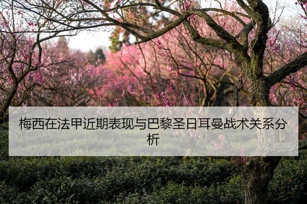 梅西在法甲近期表现与巴黎圣日耳曼战术关系分析
