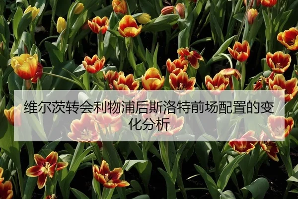 维尔茨转会利物浦后斯洛特前场配置的变化分析