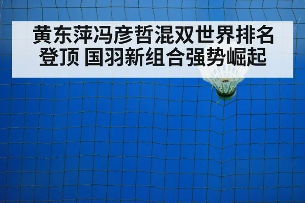 badminton net play