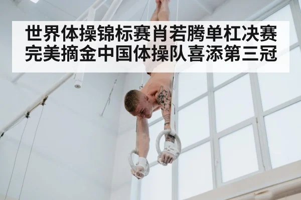世界体操锦标赛肖若腾单杠决赛完美摘金中国体操队喜添第三冠