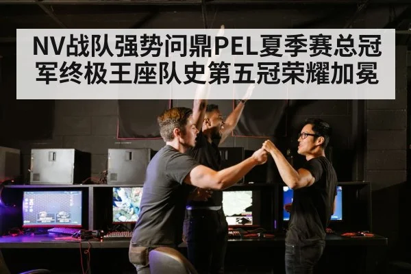 NV战队强势问鼎PEL夏季赛总冠军终极王座队史第五冠荣耀加冕